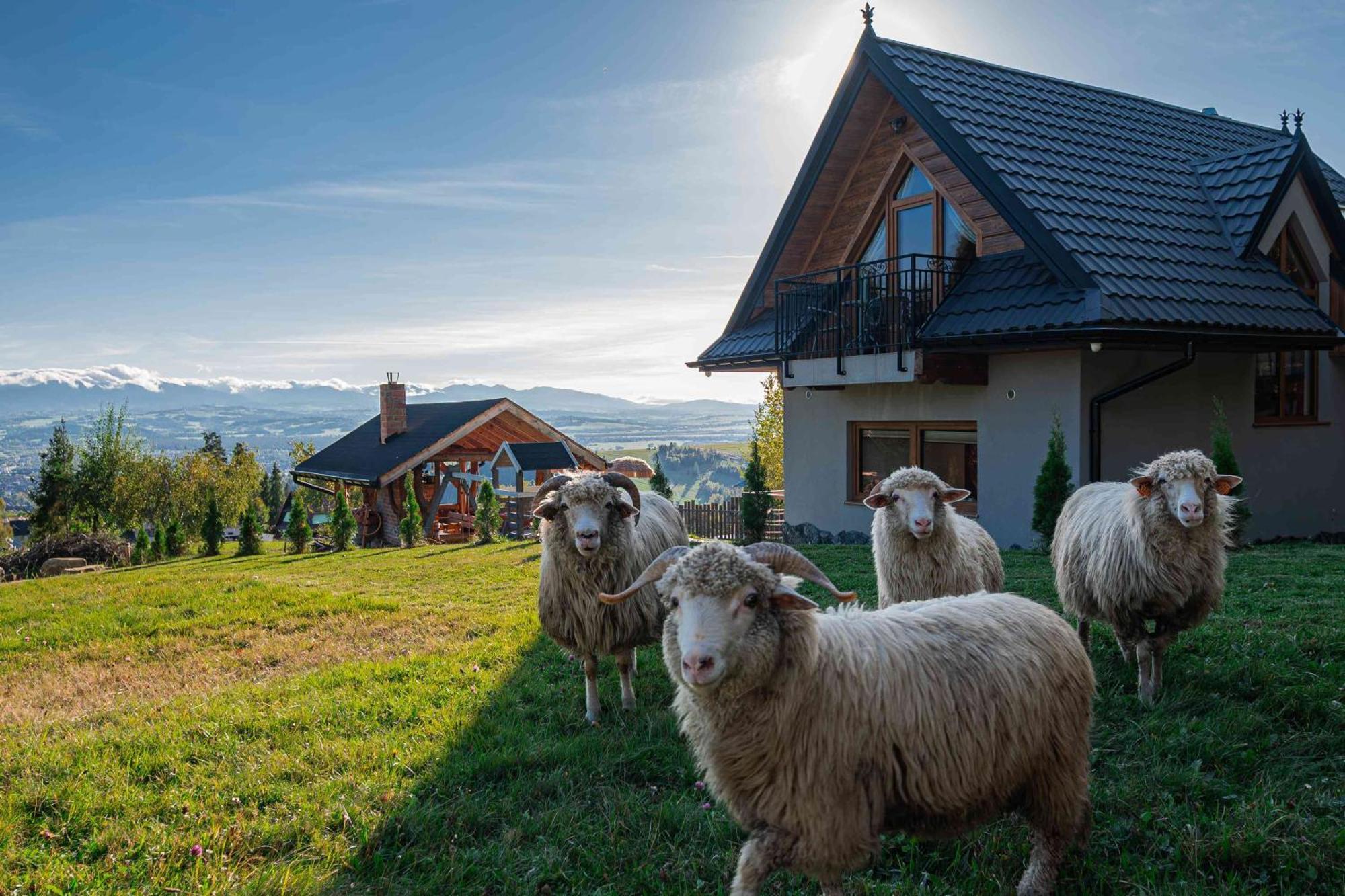 Lesne Zacisze Vila Nowy Targ Exterior foto